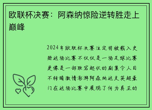 欧联杯决赛：阿森纳惊险逆转胜走上巅峰